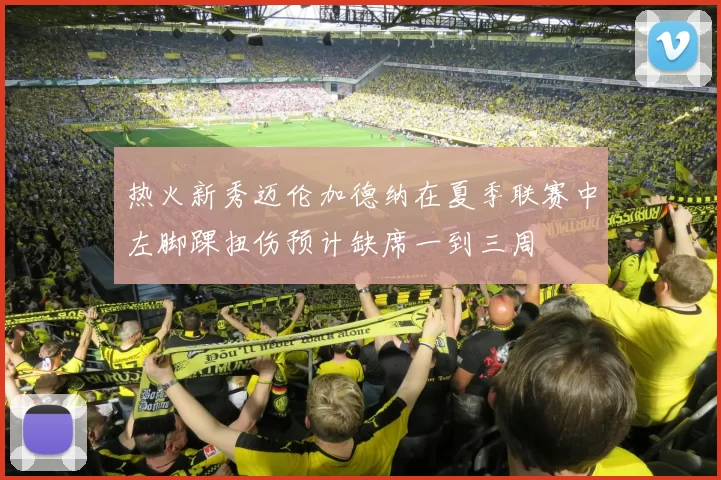 热火新秀迈伦加德纳在夏季联赛中左脚踝扭伤预计缺席一到三周