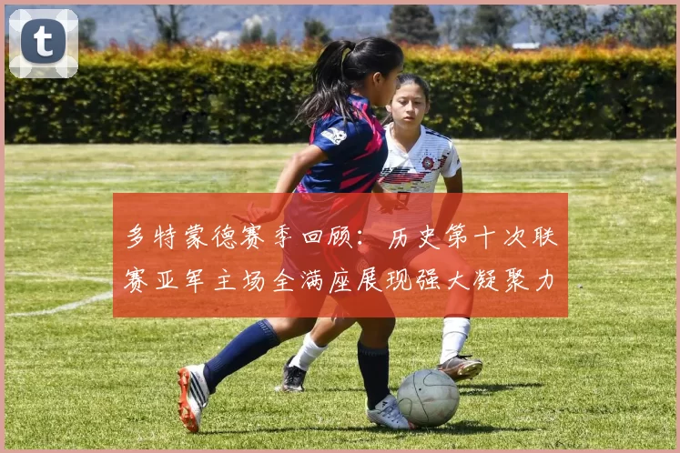 多特蒙德赛季回顾：历史第十次联赛亚军主场全满座展现强大凝聚力