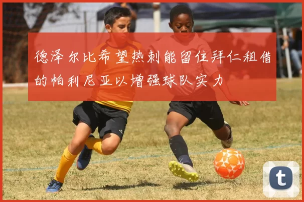 德泽尔比希望热刺能留住拜仁租借的帕利尼亚以增强球队实力